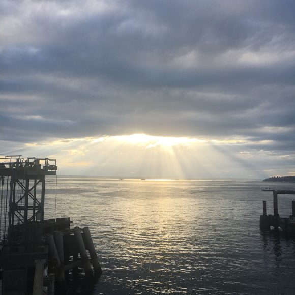 Sunlight and Gray on Bainbridge Island by Jen Pells Real Estate Agent