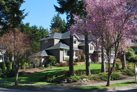 The Commodore Neighborhood on Bainbridge iIsland by Jen Pells Agent