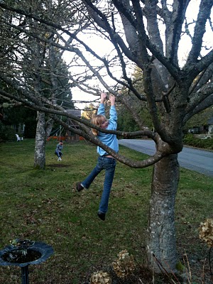 Spring on Bainbridge Island