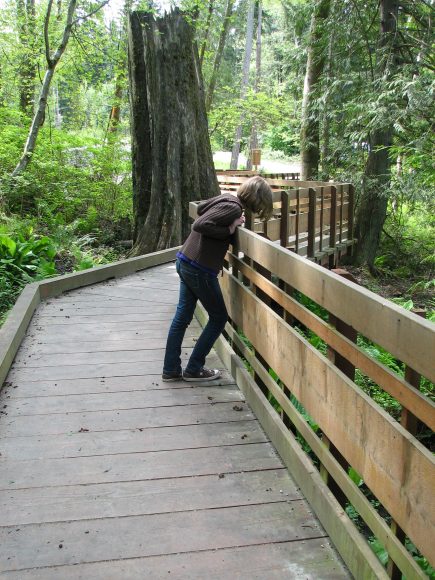 Pritchard Park on Bainbridge Island