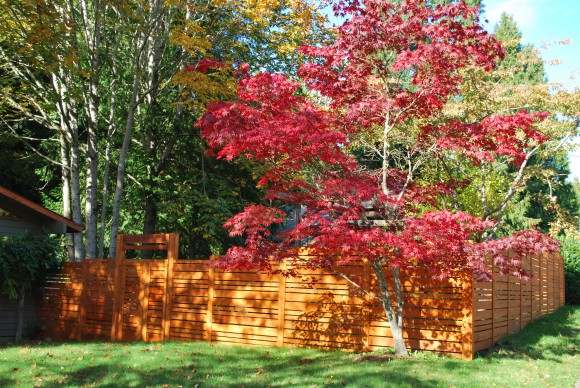 We love our new cedar fence.