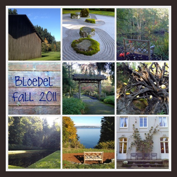 Bloedel Collage - by Jen Pells