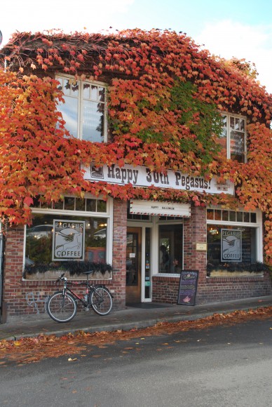 Fall on Bainbridge Island | Jen Pells | Realtor