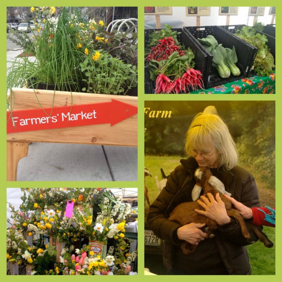 Bainbridge Island Farmer's Market collage by Jen Pells