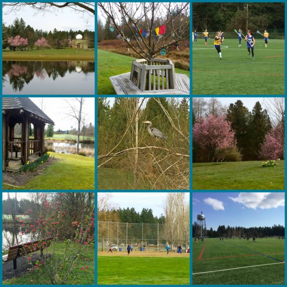 Spring at Battle Point Collage