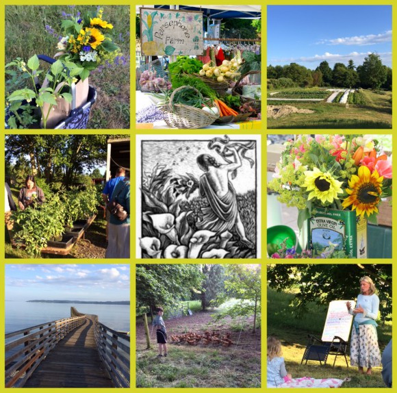 CSAs on Bainbridge Island