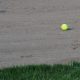 Softball on Bainbridge Island by Jen Pells Real Estate Agent