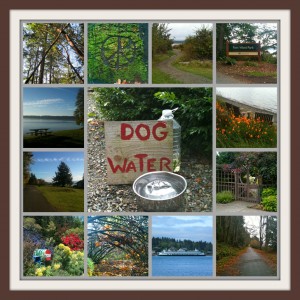 Fort Ward Walk collage - Jen Pells