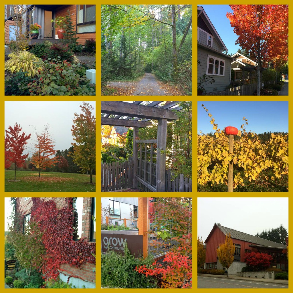 Bainbridge Fall 2013 Collage